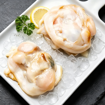 Fresh Clam Meat