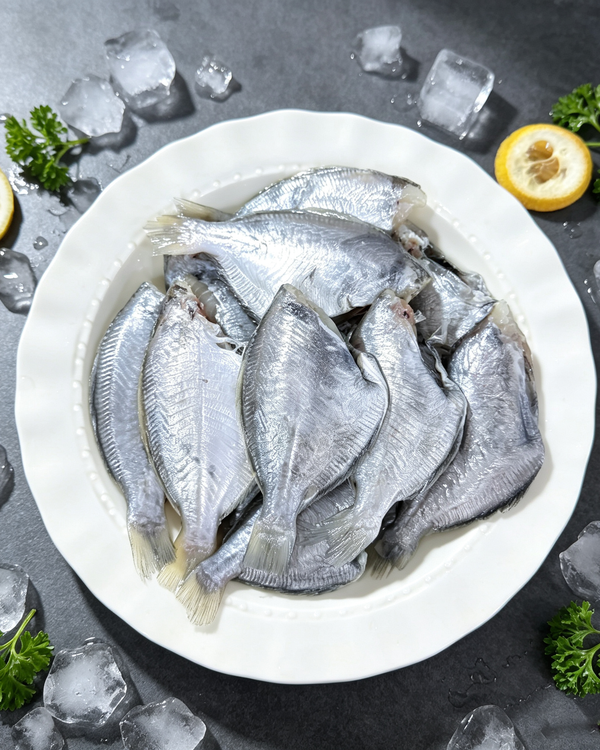Fresh Flounder