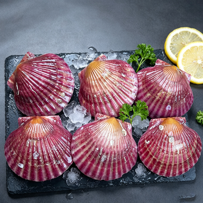 Fresh Scallops